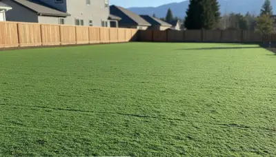 Fresh hydroseed lawn application by Chop Chop Landscaping in Mountain View, CA showing even green coverage